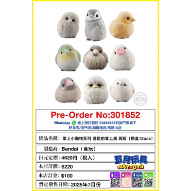 掌上小動物系列 蓬鬆的掌上鳥 再販(原盒12pcs) (食玩)